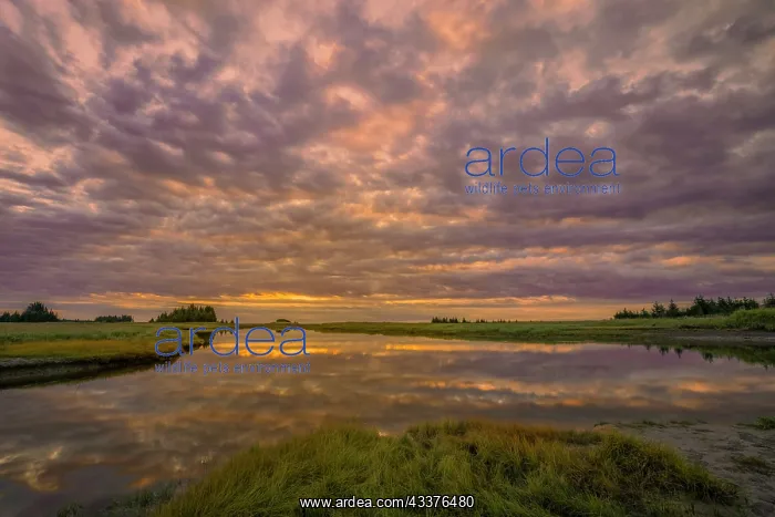: Sunrise on slough of Silver Salmon Creek, Lake Clark : Sunrise on slough of Silver Salmon Creek, Lake Clark