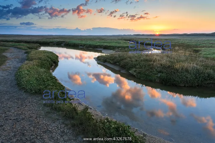 : Sunrise at the Slufter Valley, The Netherlands : Sunrise at the Slufter Valley, The Netherlands