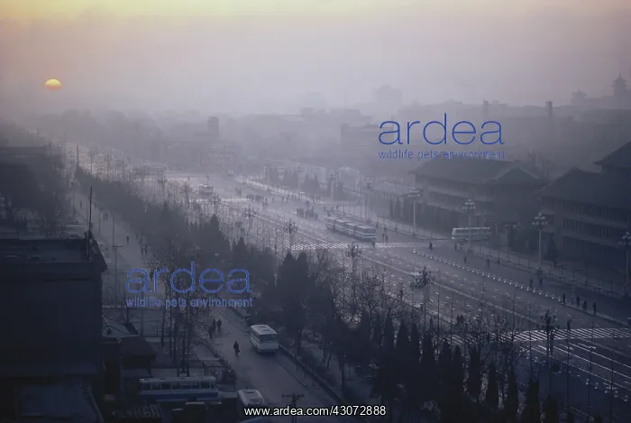 : Sunrise Smog over Beijing : Sunrise Smog over Beijing