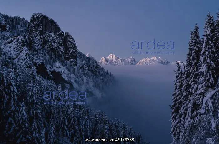 : Sunrise snow tour on the Tegelberg in the Allgau in Bavaria : Sunrise snow tour on the Tegelberg in the Allgau in Bavaria
