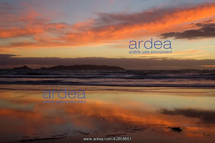 : Sunrise - spectacular sunrise over the ocean with : Sunrise - spectacular sunrise over the ocean with
