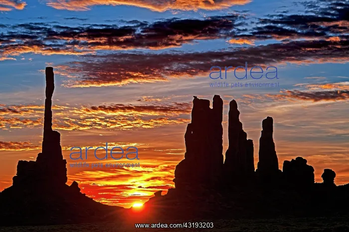 : Sunrise with Totem Pole backlit, Monument Valley : Sunrise with Totem Pole backlit, Monument Valley