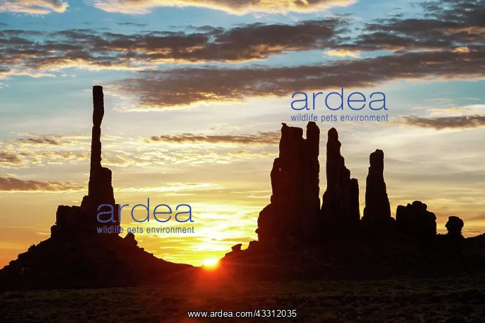 : Sunrise with Totem Pole backlit, Monument Valley : Sunrise with Totem Pole backlit, Monument Valley