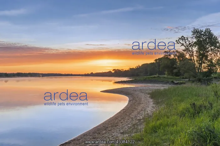 : Sunrise at the UNESCO Biosphere Reserve Elbe River : Sunrise at the UNESCO Biosphere Reserve Elbe River