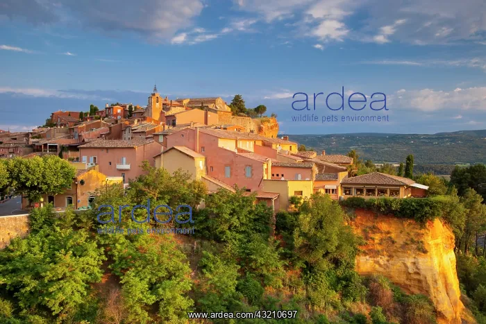 : Sunrise view over hilltop town of Roussillon : Sunrise view over hilltop town of Roussillon