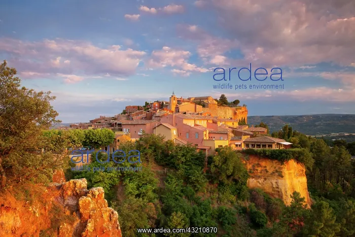 : Sunrise view over hilltop town of Roussillon : Sunrise view over hilltop town of Roussillon