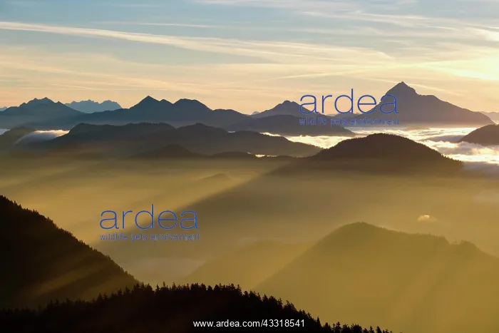 : Sunrise, view from Hirschh&, x1b2bac;kopf above the : Sunrise, view from Hirschh&, x1b2bac;kopf above the