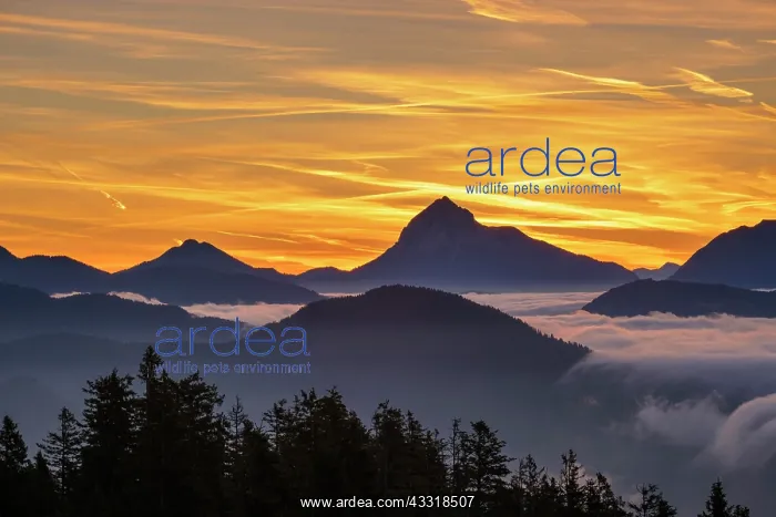 : Sunrise, view from Hirschh&, x1b2bac;kopf southeast : Sunrise, view from Hirschh&, x1b2bac;kopf southeast