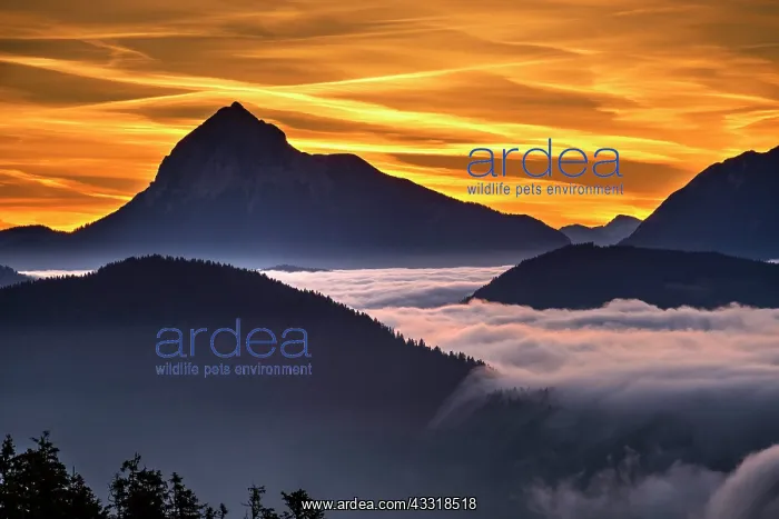 : Sunrise, view from Hirschh&, x1b2bac;kopf southeast : Sunrise, view from Hirschh&, x1b2bac;kopf southeast
