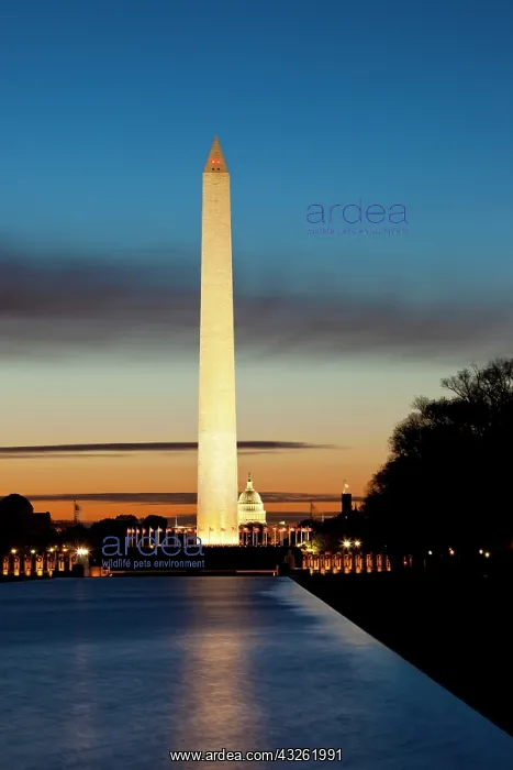: Sunrise over Washington Monument and the : Sunrise over Washington Monument and the