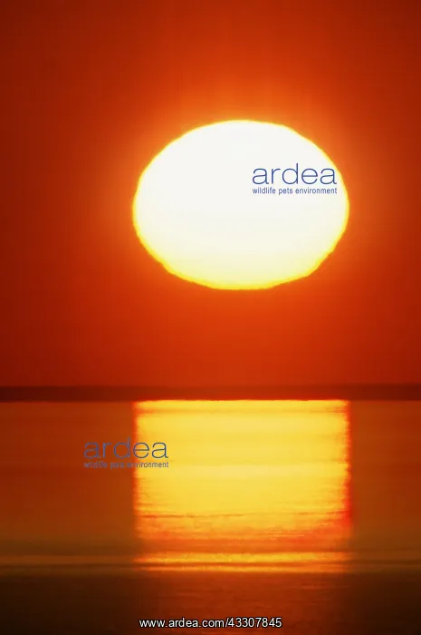 : Sunrise Over Water : Sunrise Over Water