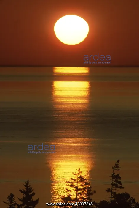 : Sunrise Over Water : Sunrise Over Water