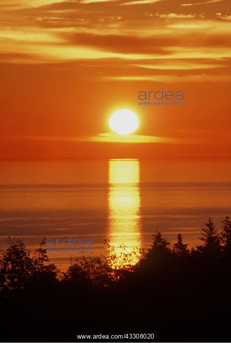 : Sunrise Over Water : Sunrise Over Water