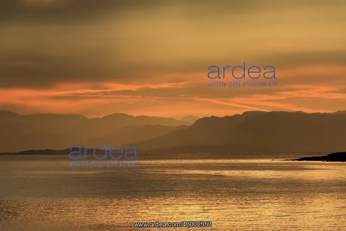  : Sunrise - over water Isle of Rhum, Scotland