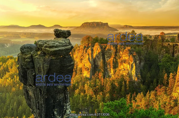 : Sunrise at the Wehlnadel near Rathen, behind the : Sunrise at the Wehlnadel near Rathen, behind the