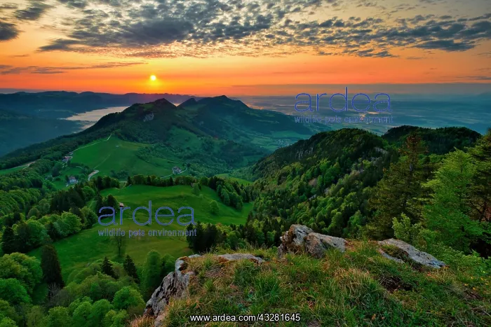 : Sunrise on the Weissenstein, view over the Jura : Sunrise on the Weissenstein, view over the Jura