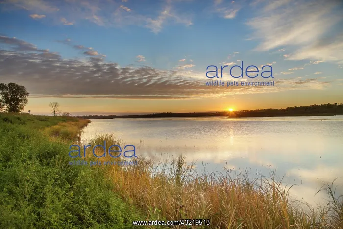 : Sunrise over wetlands at Arrowwood National : Sunrise over wetlands at Arrowwood National