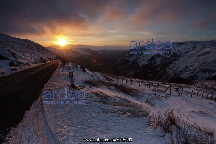  : Sunrise over Winter snow