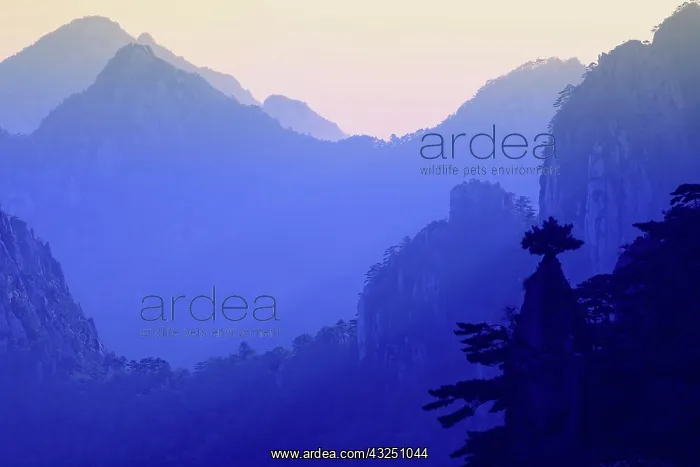: Sunrise, Yellow Mountain, Huangshan, China : Sunrise, Yellow Mountain, Huangshan, China