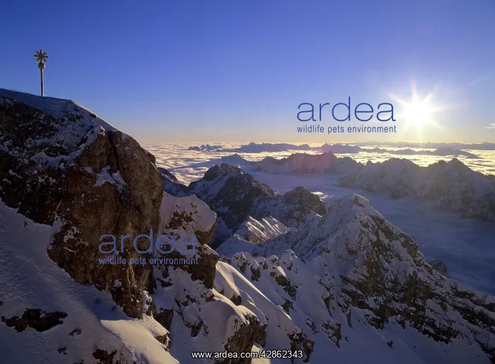 : Sunrise on Zugspitze - view from highest mountain : Sunrise on Zugspitze - view from highest mountain