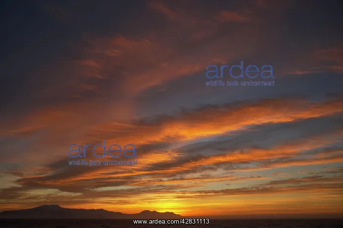 : Sunset. Antarctic Penninsula
