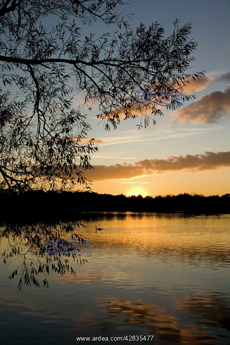  : Sunset. Groby Pool, Leicestershire UK