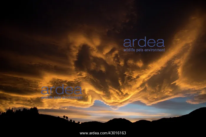  : Sunset