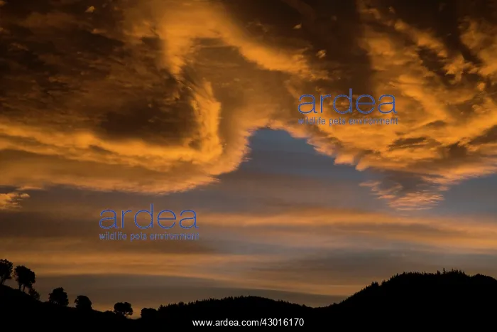  : Sunset