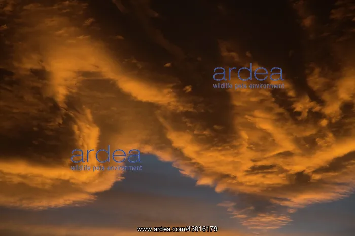  : Sunset