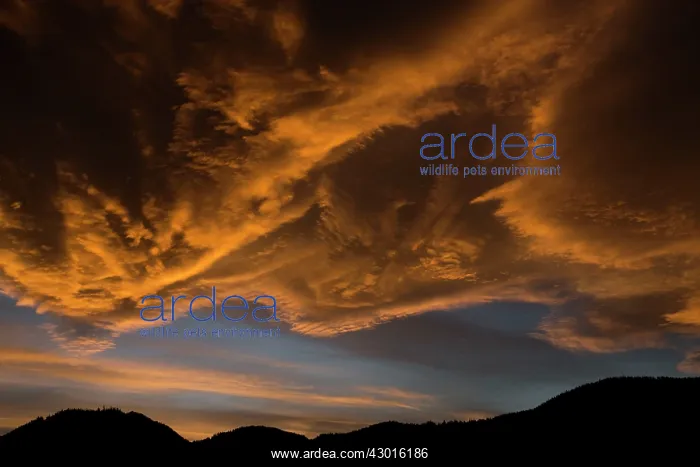  : Sunset