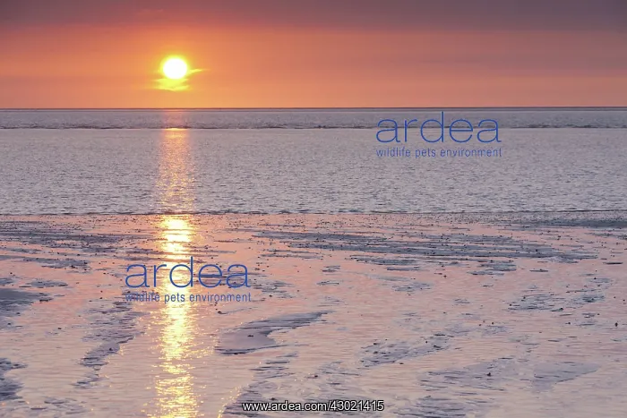  : Sunset