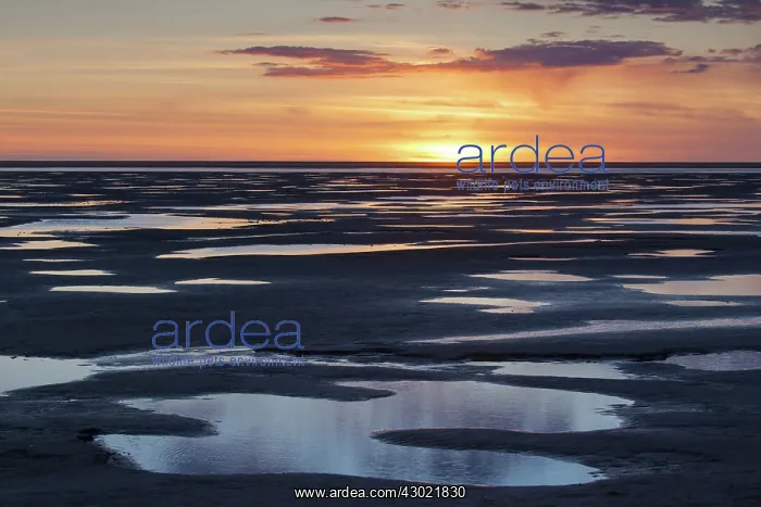  : Sunset
