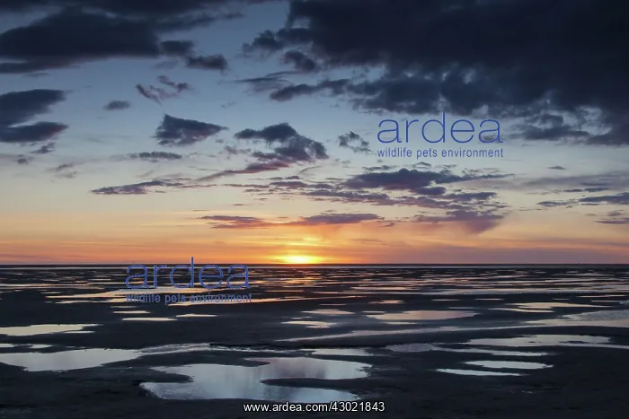 : Sunset