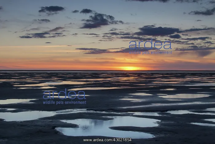  : Sunset