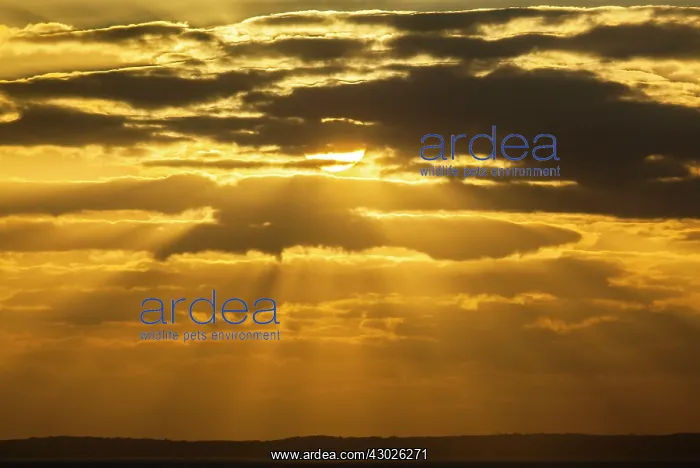  : Sunset Rhossili Beach. Wales, UK