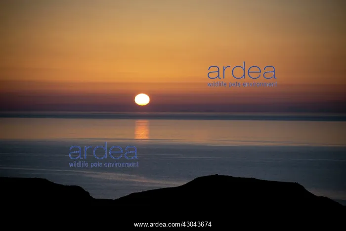  : Sunset