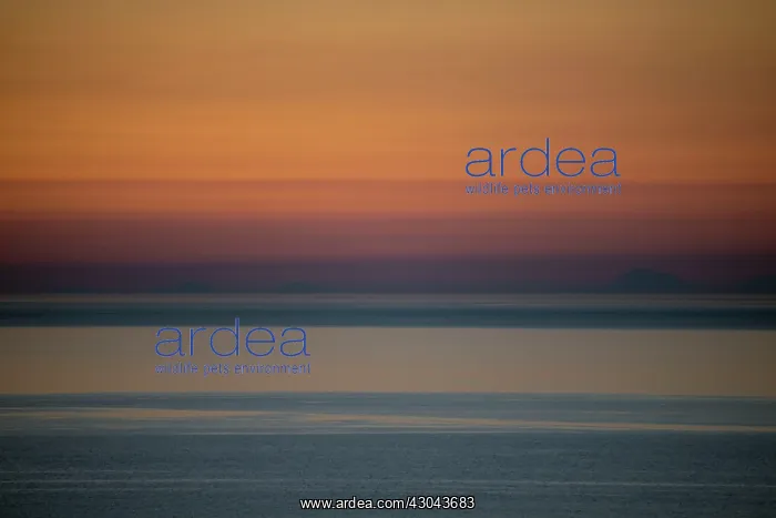  : Sunset