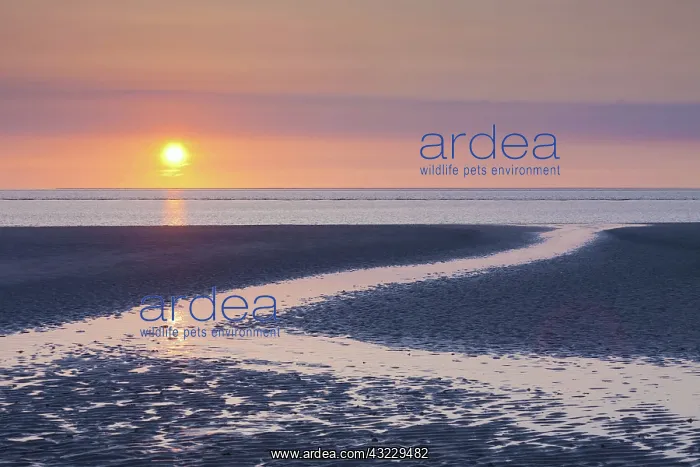  : Sunset