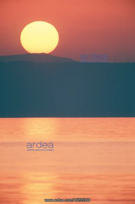 : SUNSET : SUNSET