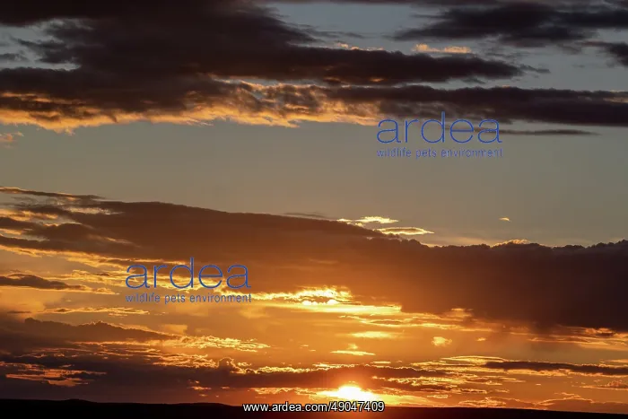 : Sunset. Asie, Mongolie, Est de la Mongolie, Steppe : Sunset. Asie, Mongolie, Est de la Mongolie, Steppe