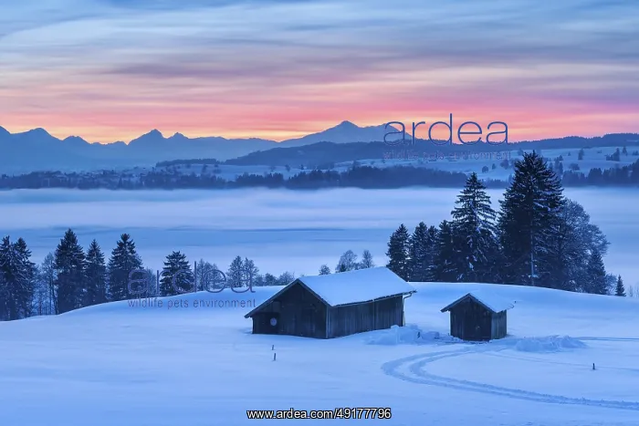 : Sunset in the Allgau in winter : Sunset in the Allgau in winter
