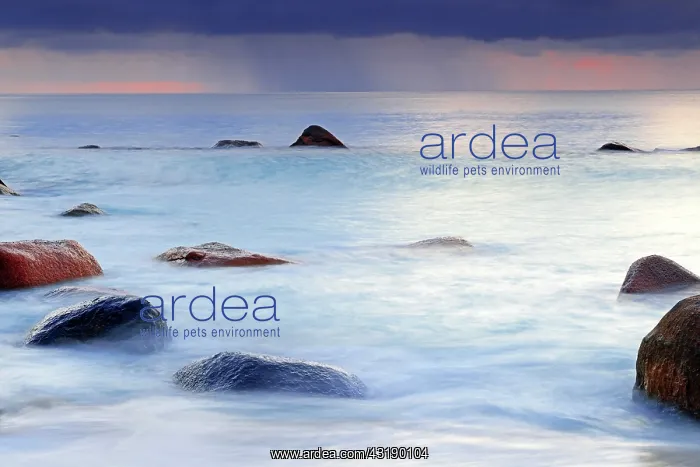 : Sunset at Anse Lazio, rain at the horizon, Praslin : Sunset at Anse Lazio, rain at the horizon, Praslin