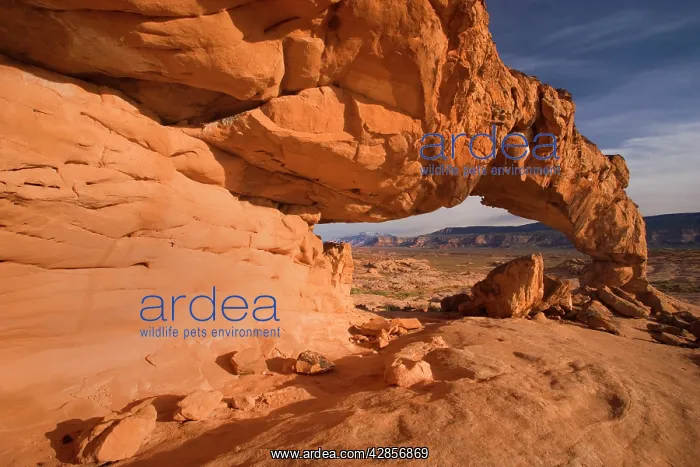 : Sunset Arch - beautiful rock arch framing Navajo : Sunset Arch - beautiful rock arch framing Navajo