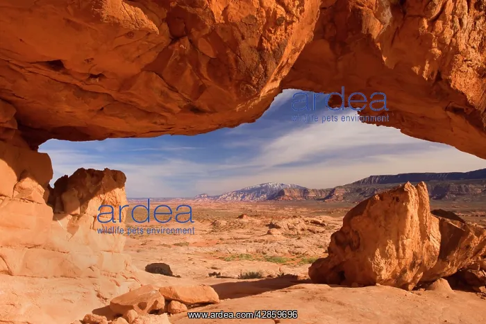 : Sunset Arch - rock arch framing Navajo Mountain : Sunset Arch - rock arch framing Navajo Mountain