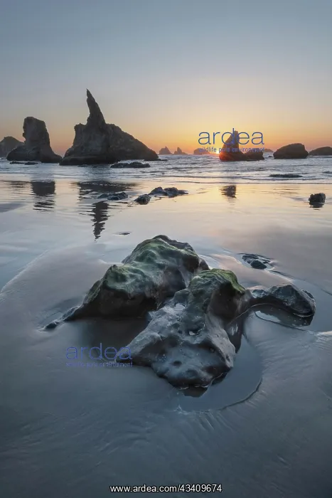 : Sunset on Bandon Beach at low tide, Bandon, , Oregon : Sunset on Bandon Beach at low tide, Bandon, , Oregon