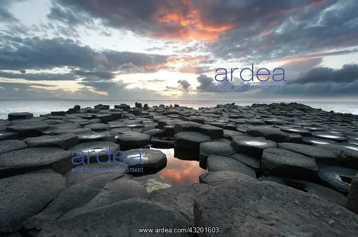 : Sunset at the basalt columns of the Giant's Causeway : Sunset at the basalt columns of the Giant's Causeway