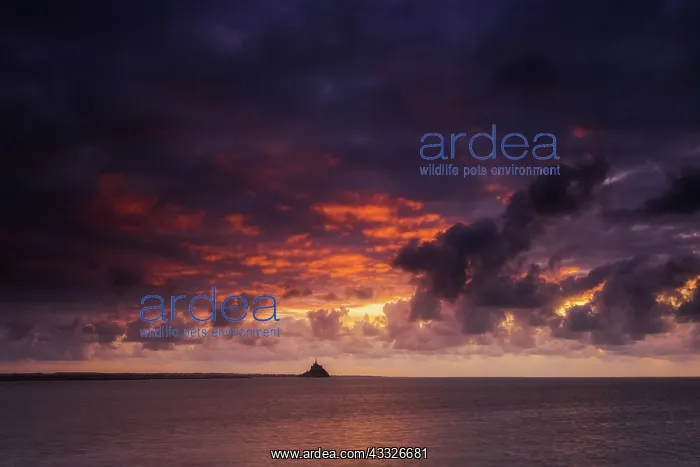 : Sunset over the Bay of Mont-Saint-Michel from th : Sunset over the Bay of Mont-Saint-Michel from th