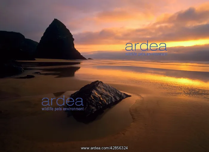 : Sunset - at beach of Bedruthan Steps at low tide : Sunset - at beach of Bedruthan Steps at low tide
