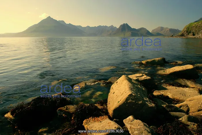 : Sunset at beach - near Elgol with boulders in foreground : Sunset at beach - near Elgol with boulders in foreground