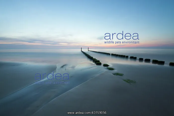 : Sunset at the beach of Oostkapelle with long exposure : Sunset at the beach of Oostkapelle with long exposure